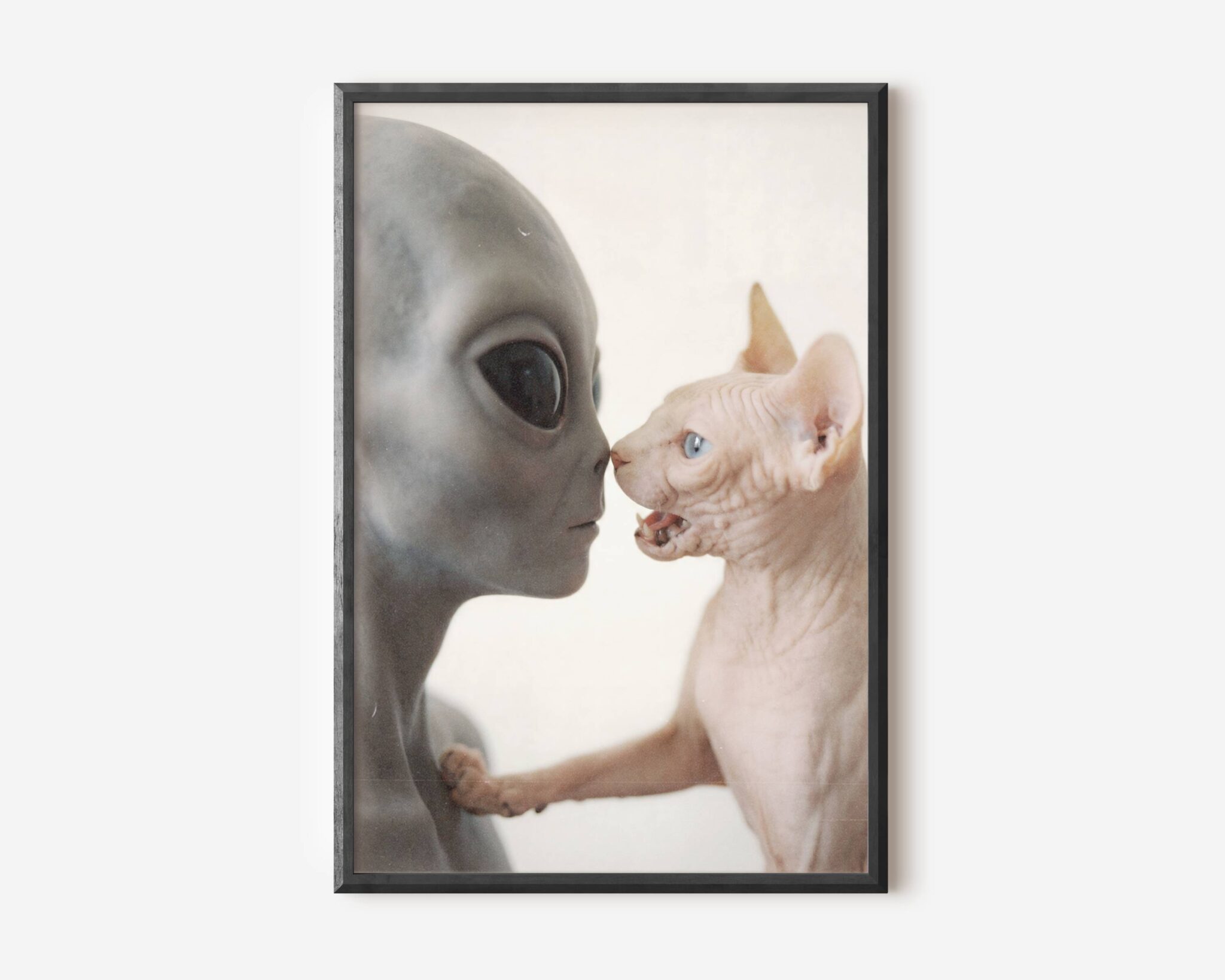 Premium funny retro sci-fi poster of a grey alien and a blue-eyed sphynx cat in a perfectly timed nose-to-nose standoff, one paw raised in protest — the most distinctive and humorous alien cat wall art print available – unframed funny alien cat poster, ufoposter.com
