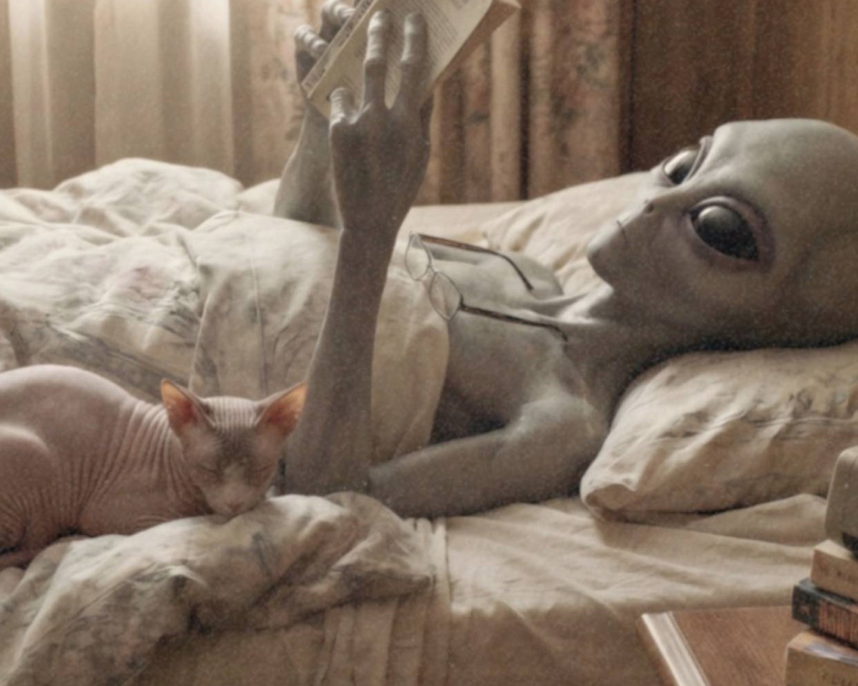 Intimate warm vintage close-up of a grey alien propped up on a pillow reading a book beside a curled sphynx cat on a rumpled duvet in soft glowing afternoon light – unframed retro alien portrait poster, ufoposter.com