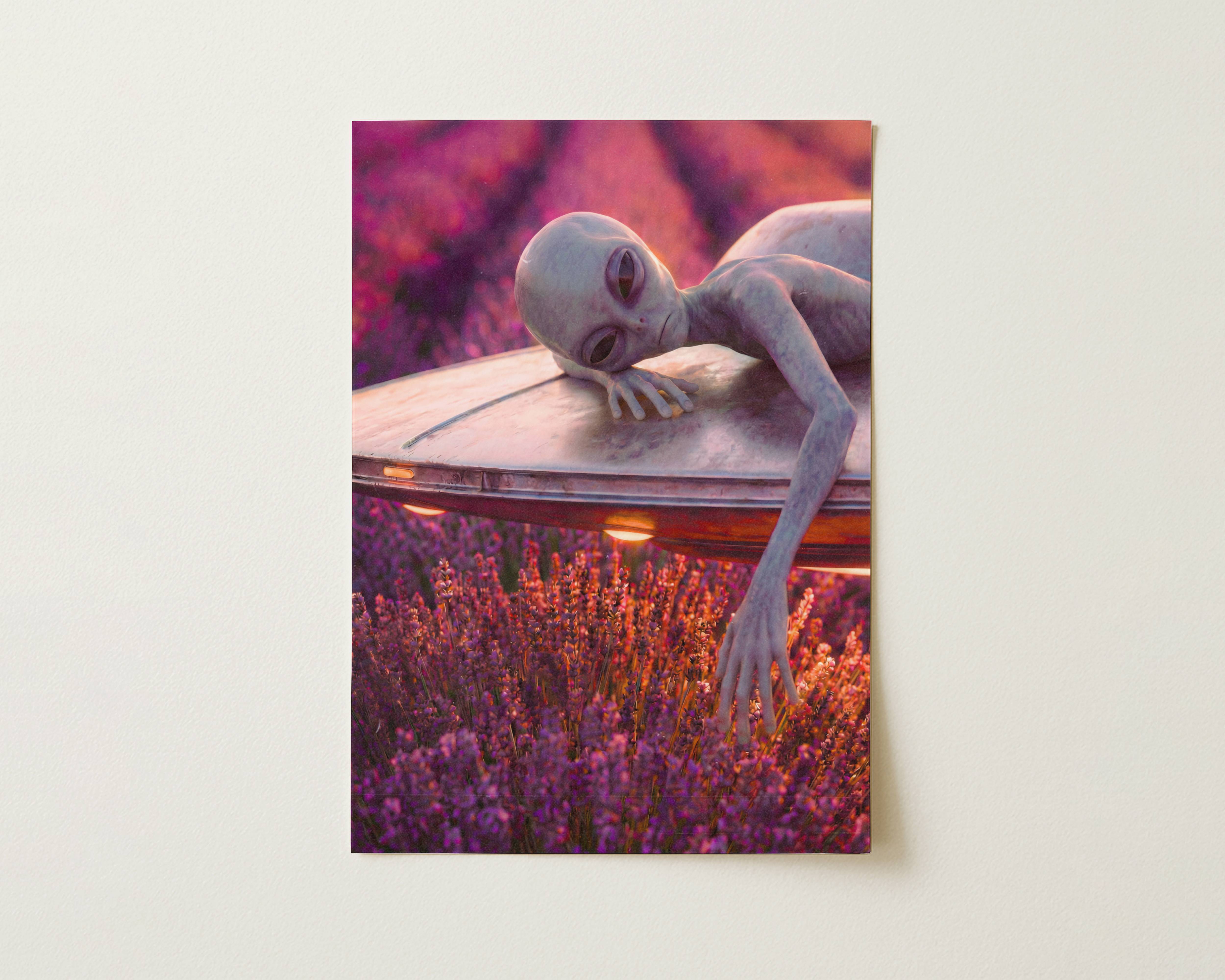 Flat print warm purple retro artwork of a grey alien lying across the top of a hovering UFO above a vast glowing lavender field in rich evening light – high quality unframed flat poster print, ufoposter.com