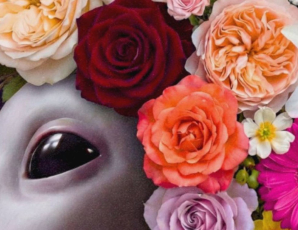 Intimate rich close-up of a grey alien's calm dark eyes and smooth grey face surrounded by an extraordinary cascading crown of flowers — roses, gerberas, lilies, irises and lisianthus — against a deep dark purple background with a monarch butterfly – unframed rich alien flower detail poster, ufoposter.com