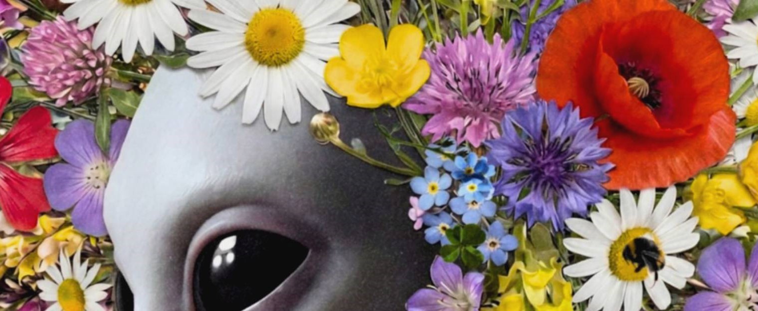 Intimate vibrant close-up of a grey alien's calm dark eyes and smooth grey face surrounded by an extraordinary crown of layered wildflowers — red poppies, white daisies, purple cornflowers and lavender — against a warm golden ochre background with bees hovering at the edges and a peacock butterfly among the petals – unframed colourful alien wildflower detail poster, ufoposter.com Tagi alien wall art, wildflower wall art, colourful wall art, alien portrait print, surreal wall art, flower poster, nature alien art, vibrant wall art, alien art print, colourful living room poster
