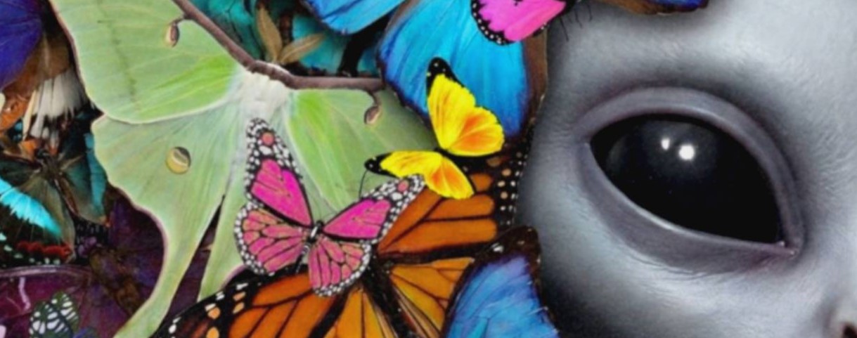 Intense vibrant close-up of a grey alien's calm dark eyes and smooth grey face surrounded by an extraordinary crown of layered colourful butterflies — monarchs, morphos, luna moths and peacock wings in blue, orange, green and pink against deep forest green – unframed colourful alien butterfly detail poster, ufoposter.com