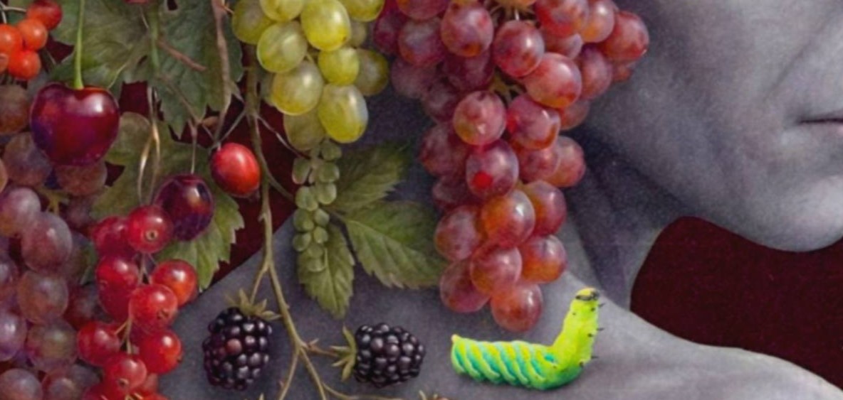 Intimate rich close-up of a grey alien's calm dark eyes and smooth grey face surrounded by an extraordinary cascading crown of abundant fruit — pomegranates, figs, grapes, strawberries and blackberries — against a deep dark burgundy background with a swallowtail butterfly – unframed rich alien fruit detail poster, ufoposter.com
